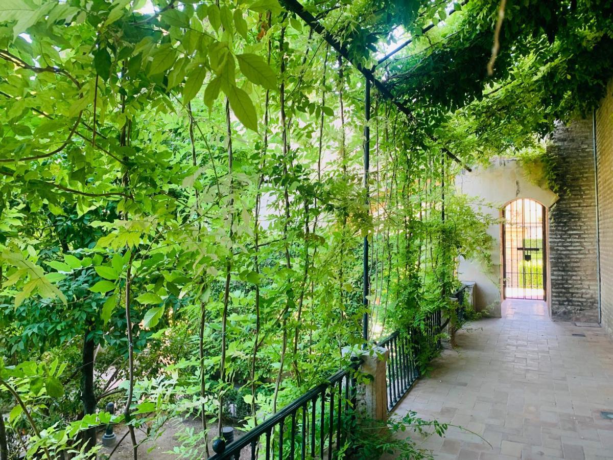 Apartamento Puerta Carmona Seville Exterior photo